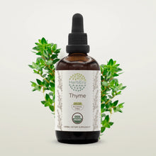 Load image into Gallery viewer, Thyme Tincture herbera Thyme Tincture herbera Herbal Extract