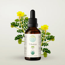 Load image into Gallery viewer, Tribulus Tincture herbera Tribulus Tincture herbera Herbal Extract