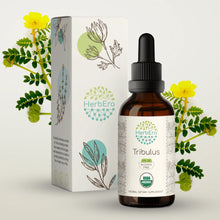 Load image into Gallery viewer, Tribulus Tincture herbera Tribulus Tincture herbera Herbal Extract