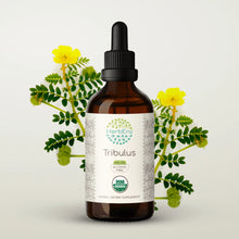 Load image into Gallery viewer, Tribulus Tincture herbera Tribulus Tincture herbera Herbal Extract