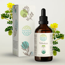 Load image into Gallery viewer, Tribulus Tincture herbera Tribulus Tincture herbera Herbal Extract