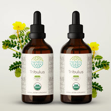 Load image into Gallery viewer, Tribulus Tincture herbera Tribulus Tincture herbera Herbal Extract