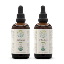 Load image into Gallery viewer, Tribulus Tincture herbera Tribulus Tincture herbera Herbal Extract