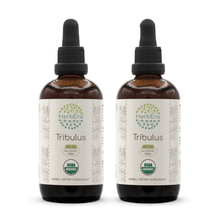 Load image into Gallery viewer, Tribulus Tincture