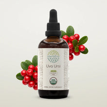 Load image into Gallery viewer, Buy Uva-Ursi Tincture online