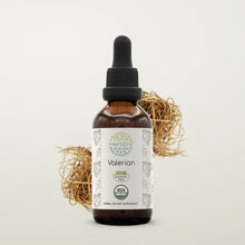 Load image into Gallery viewer, Valerian Tincture herbera Valerian Tincture herbera Herbal Extract