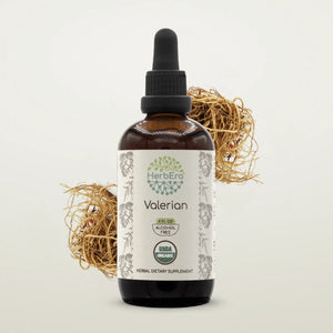 Valerian Tincture herbera Valerian Tincture herbera Herbal Extract