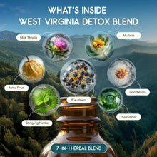 Load image into Gallery viewer, West Virginia Detox Blend HerbEra West Virginia Detox Blend HerbEra Formula