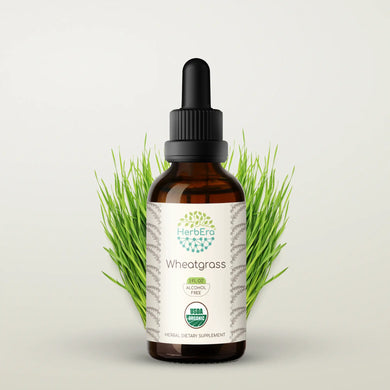 Wheatgrass Tincture herbera Wheatgrass Tincture herbera Herbal Extract