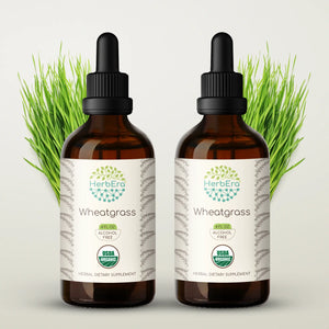 Wheatgrass Tincture herbera Wheatgrass Tincture herbera Herbal Extract