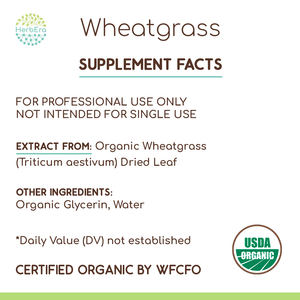 Wheatgrass Tincture herbera Wheatgrass Tincture herbera Herbal Extract