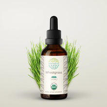 Load image into Gallery viewer, Wheatgrass Tincture herbera Wheatgrass Tincture herbera Herbal Extract