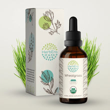 Load image into Gallery viewer, Wheatgrass Tincture herbera Wheatgrass Tincture herbera Herbal Extract