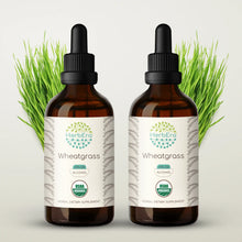 Load image into Gallery viewer, Wheatgrass Tincture herbera Wheatgrass Tincture herbera Herbal Extract