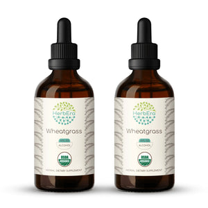 Wheatgrass Tincture herbera Wheatgrass Tincture herbera Herbal Extract