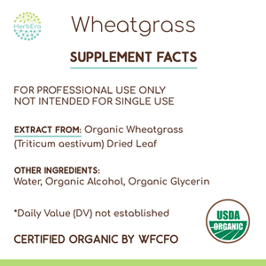 Wheatgrass Tincture herbera Wheatgrass Tincture herbera Herbal Extract