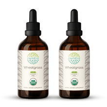 Load image into Gallery viewer, Wheatgrass Tincture
