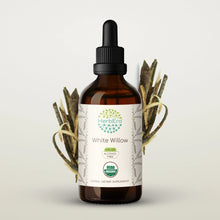 Load image into Gallery viewer, White Willow Tincture herbera White Willow Tincture herbera Herbal Extract