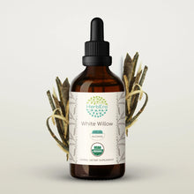 Load image into Gallery viewer, White Willow Tincture herbera White Willow Tincture herbera Herbal Extract