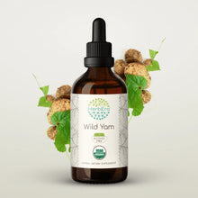 Load image into Gallery viewer, Wild Yam Tincture herbera Wild Yam Tincture herbera Herbal Extract