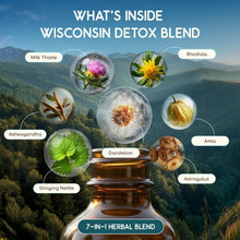 Load image into Gallery viewer, Wisconsin Detox Blend HerbEra Wisconsin Detox Blend HerbEra Formula