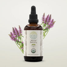 Load image into Gallery viewer, Wood Betony Tincture