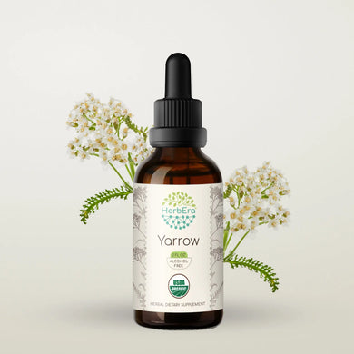 Yarrow Tincture herbera Yarrow Tincture herbera Herbal Extract