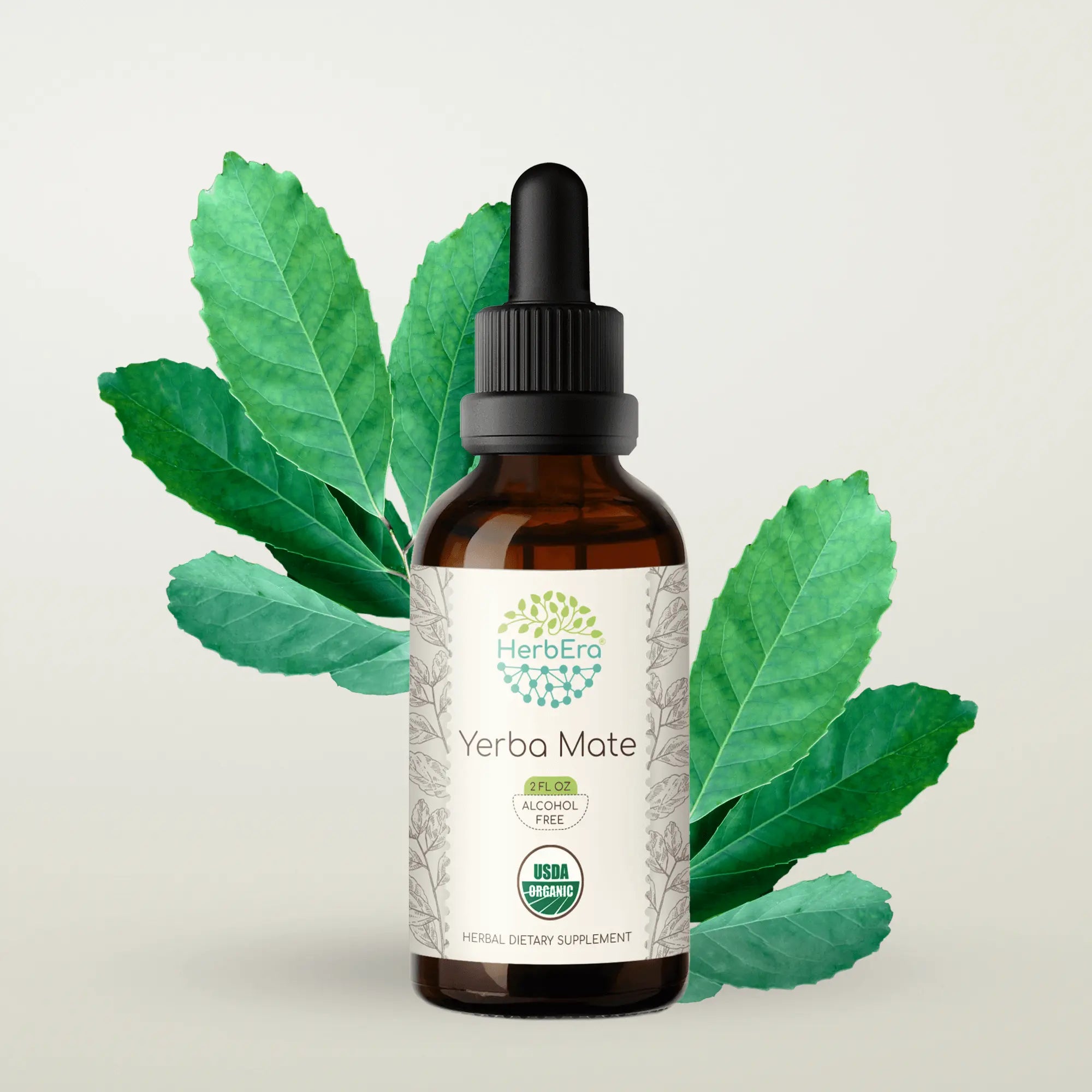Yerba Mate Tincture