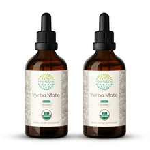 Load image into Gallery viewer, Yerba Mate Tincture herbera Yerba Mate Tincture herbera Herbal Extract