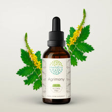 Load image into Gallery viewer, Agrimony Tincture herbera Agrimony Tincture herbera Herbal Extract