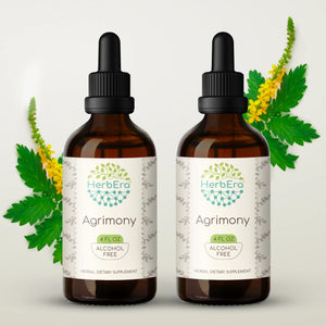 Agrimony Tincture herbera Agrimony Tincture herbera Herbal Extract