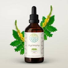 Load image into Gallery viewer, Agrimony Tincture herbera Agrimony Tincture herbera Herbal Extract