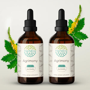 Agrimony Tincture herbera Agrimony Tincture herbera Herbal Extract