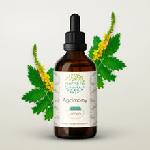 Load image into Gallery viewer, Agrimony Tincture herbera Agrimony Tincture herbera Herbal Extract