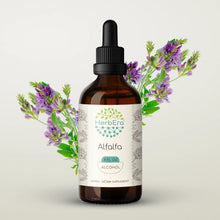 Load image into Gallery viewer, Alfalfa Tincture herbera Alfalfa Tincture herbera Herbal Extract