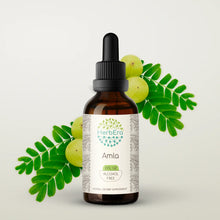 Load image into Gallery viewer, Amla Tincture herbera Amla Tincture herbera Herbal Extract