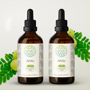 Amla Tincture herbera Amla Tincture herbera Herbal Extract