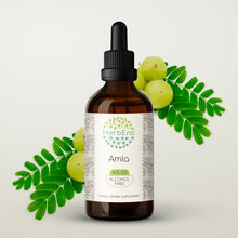 Load image into Gallery viewer, Amla Tincture herbera Amla Tincture herbera Herbal Extract