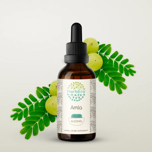 Amla Tincture herbera Amla Tincture herbera Herbal Extract