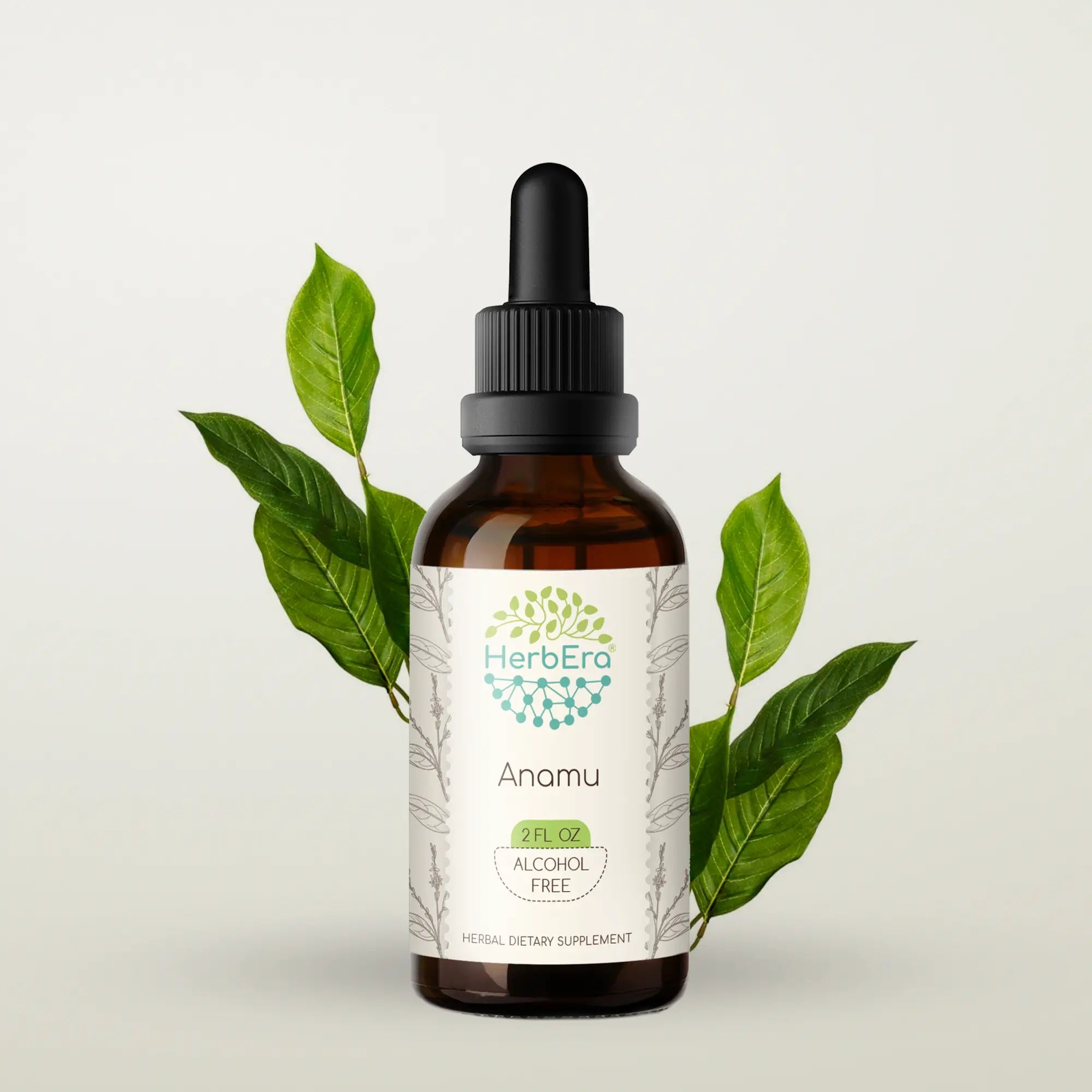Anamu Tincture