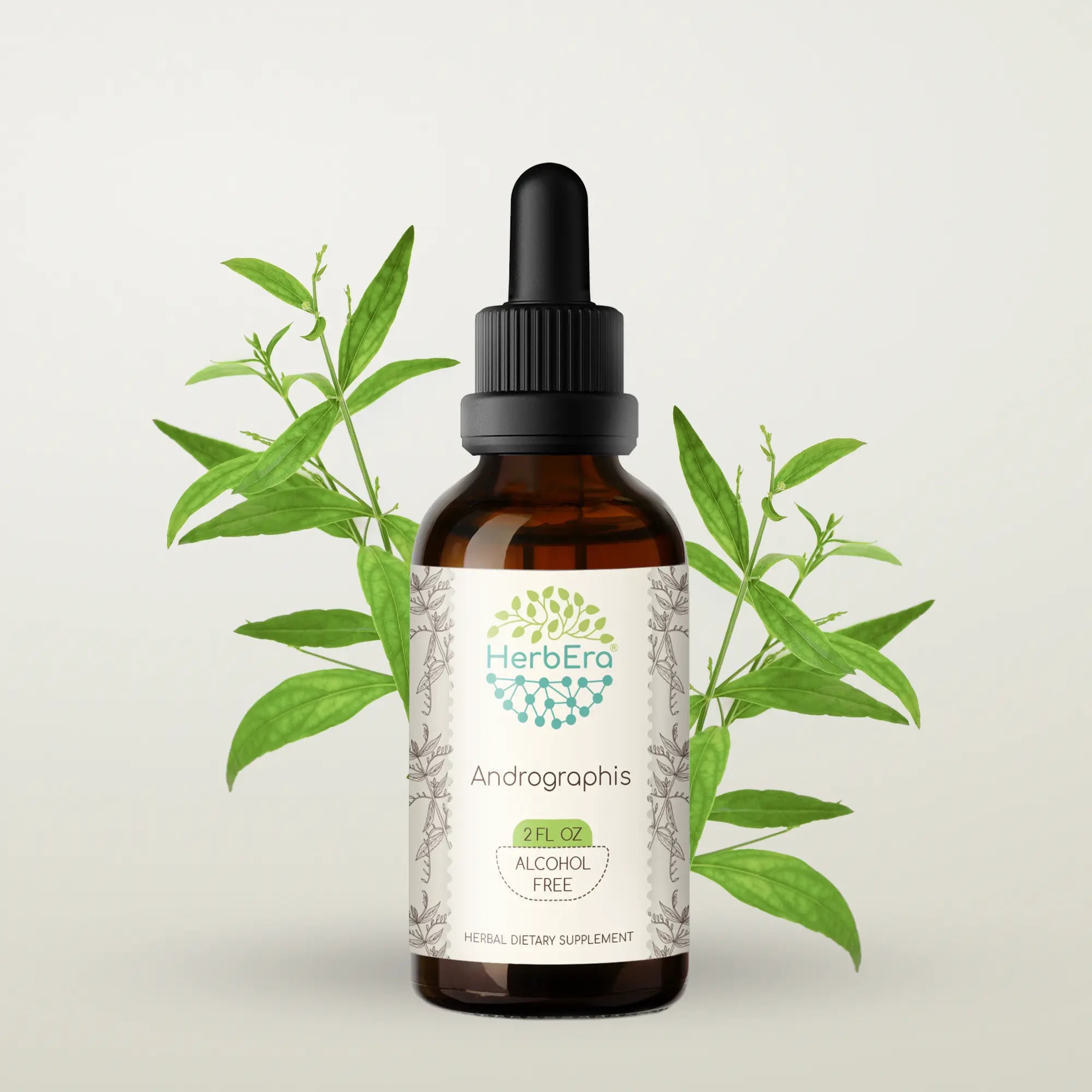 Andrographis Tincture