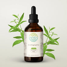 Load image into Gallery viewer, Andrographis Tincture herbera Andrographis Tincture herbera Herbal Extract