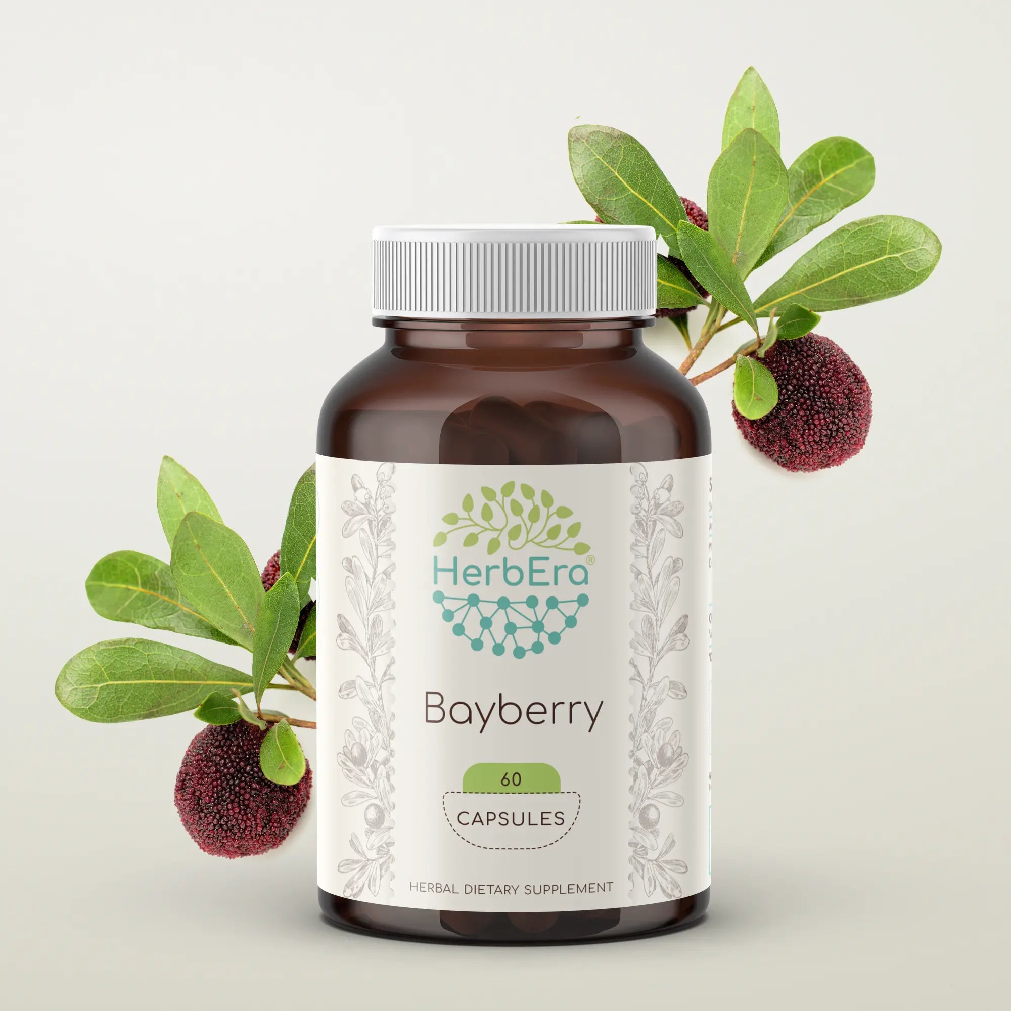 Bayberry Capsules