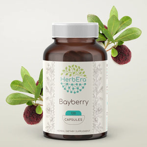 Bayberry Capsules herbera Bayberry Capsules herbera Capsules