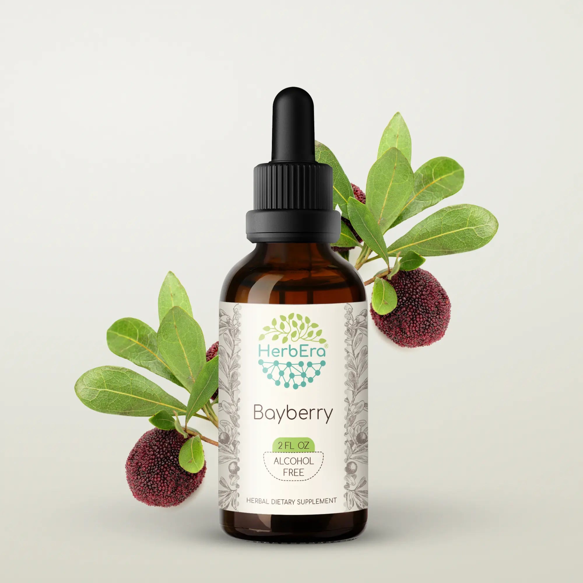 Bayberry Tincture