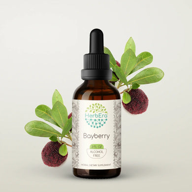 Bayberry Tincture herbera Bayberry Tincture herbera Herbal Extract