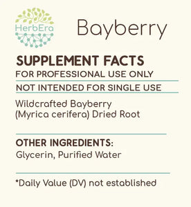 Bayberry Tincture herbera Bayberry Tincture herbera Herbal Extract