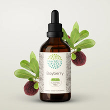 Load image into Gallery viewer, Bayberry Tincture herbera Bayberry Tincture herbera Herbal Extract