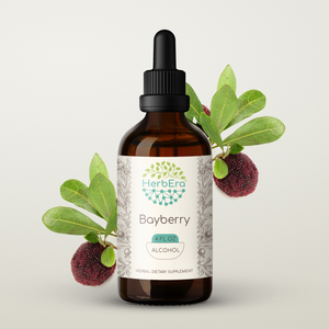 Bayberry Tincture