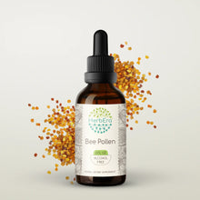 Load image into Gallery viewer, Bee Pollen Tincture herbera Bee Pollen Tincture herbera Herbal Extract